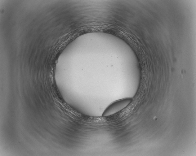 X0000071850768200607290132