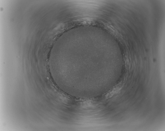 X0000071850769200607290131