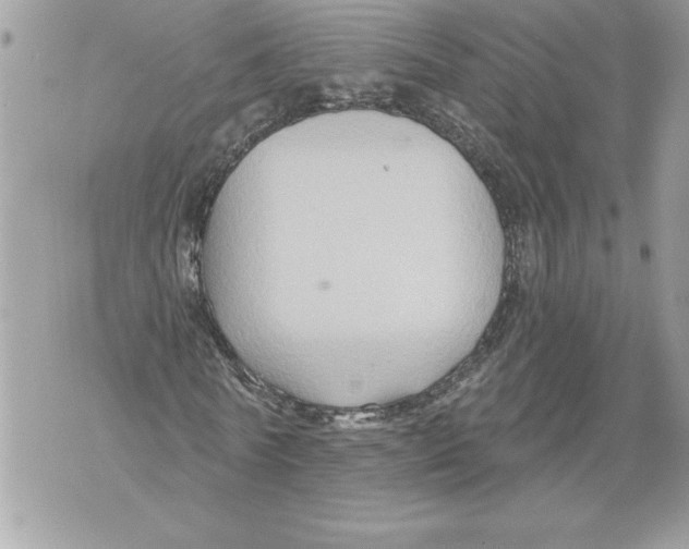 X0000071850770200607290131