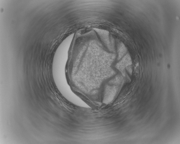 X0000071850772200607290131