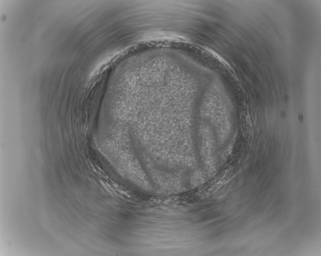 X0000071850775200607290131