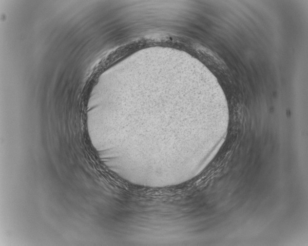 X0000071850776200607290131