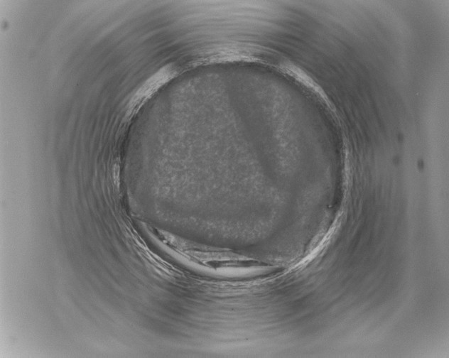 X0000071850777200607290131