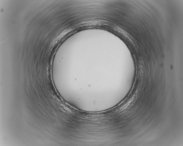 X0000071850778200607290131