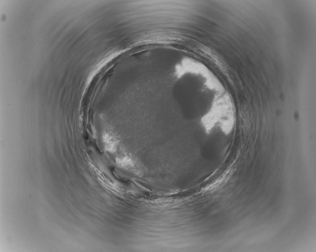 X0000071850779200607290131