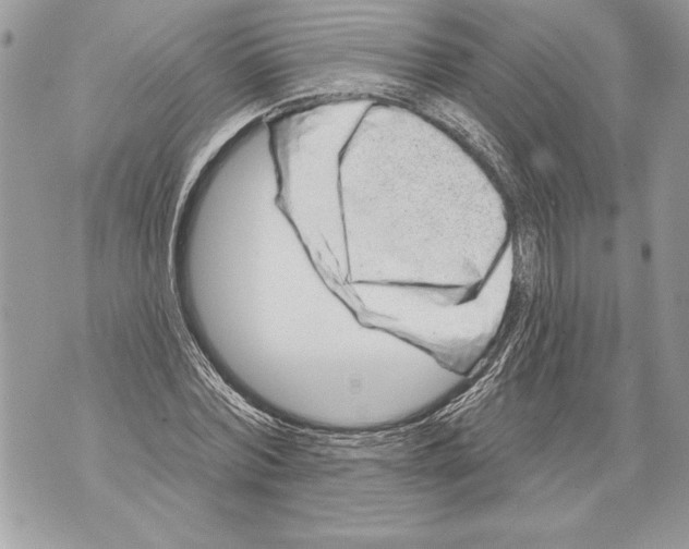 X0000071850780200607290131