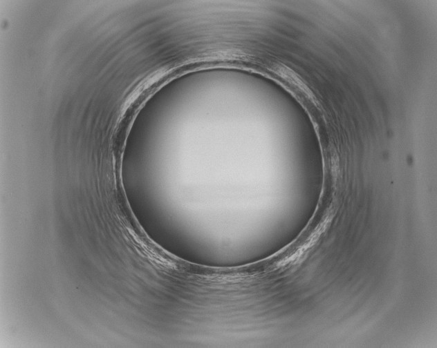 X0000071850781200607290131