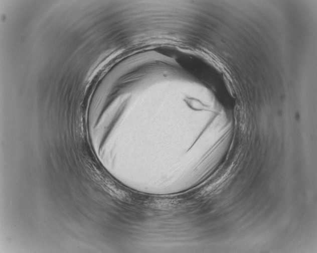 X0000071850782200607290131