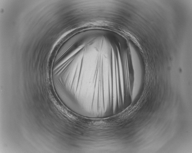 X0000071850784200607290131