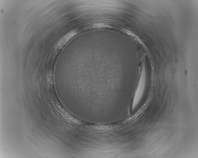 X0000071850785200607290131