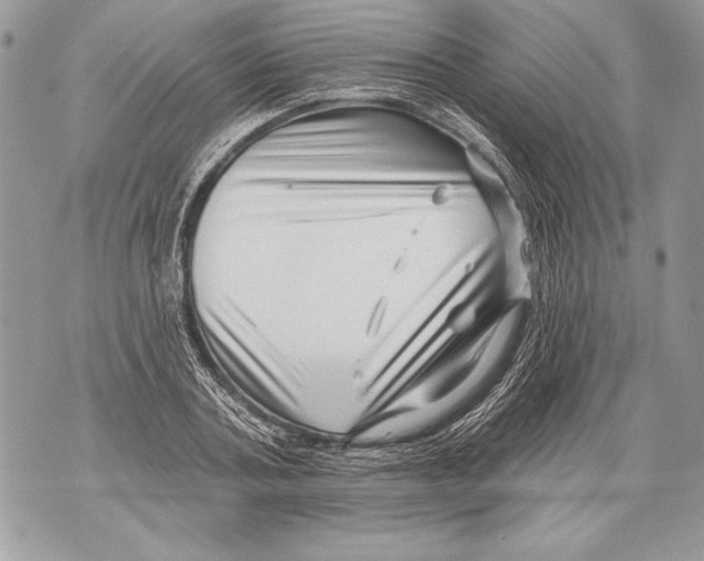 X0000071850787200607290131