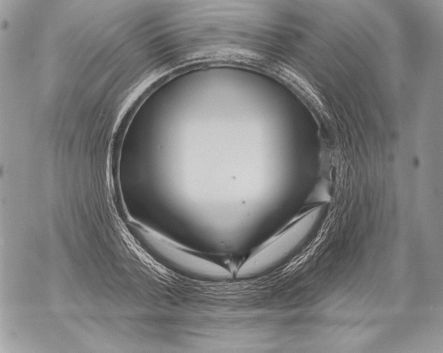 X0000071850788200607290131