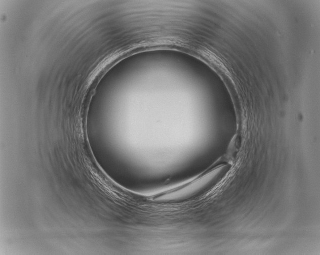 X0000071850789200607290131