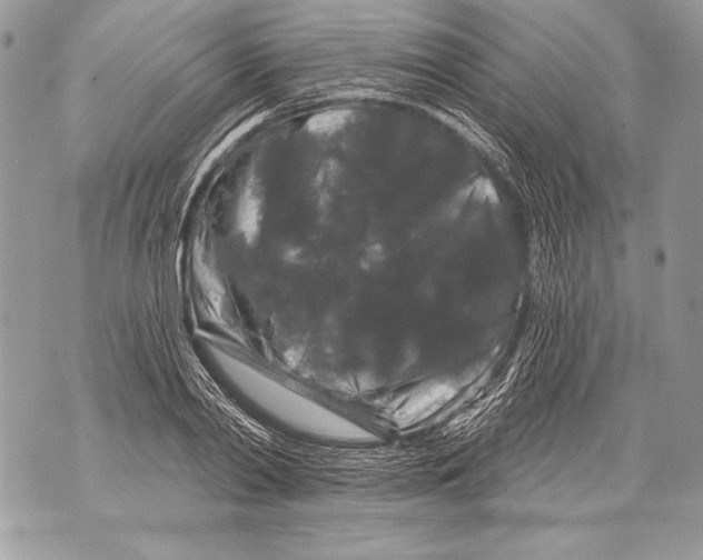 X0000071850790200607290131