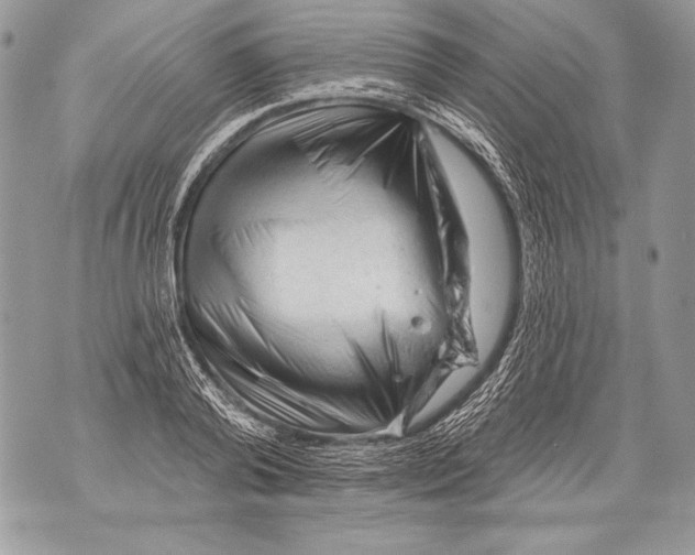 X0000071850792200607290131