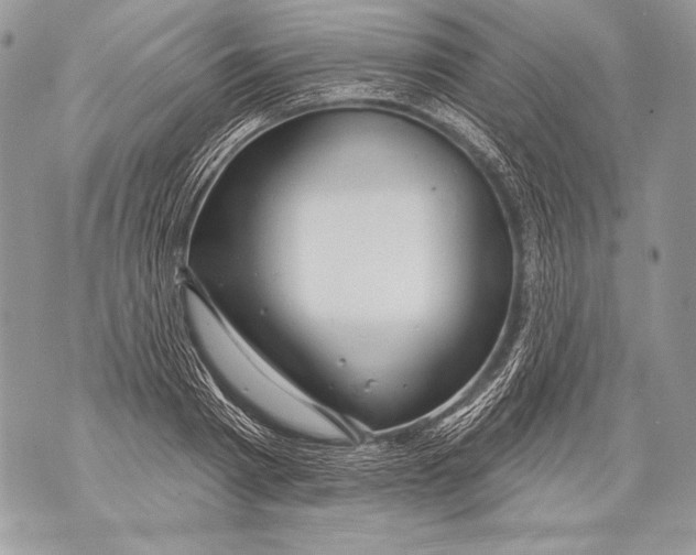 X0000071850793200607290131