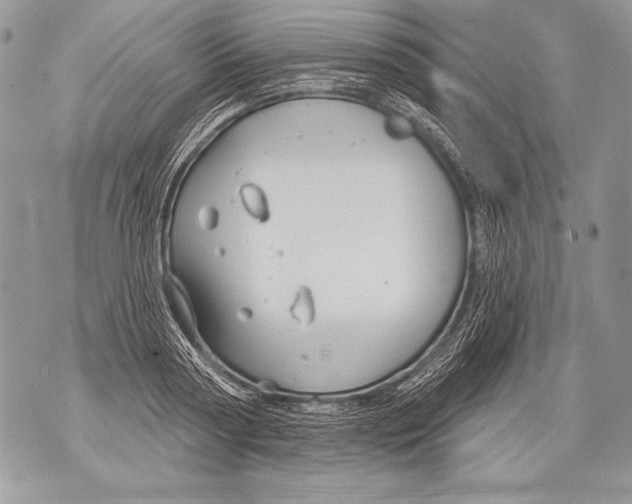 X0000071850794200607290131