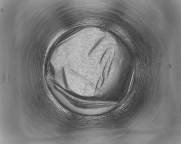 X0000071850796200607290131