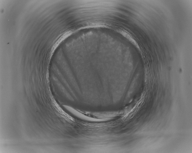 X0000071850797200607290131