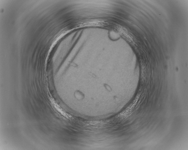 X0000071850800200607290131