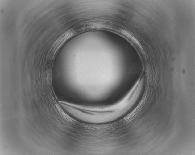 X0000071850801200607290131