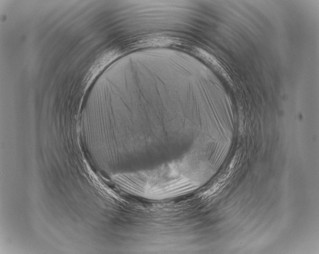 X0000071850802200607290131