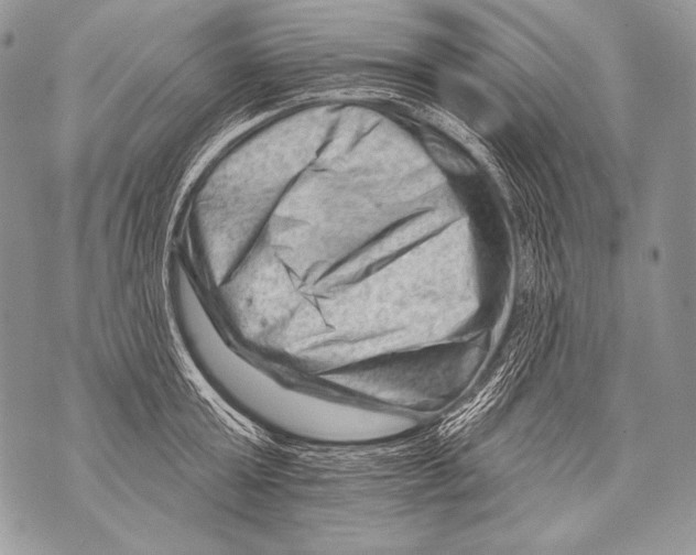 X0000071850803200607290131