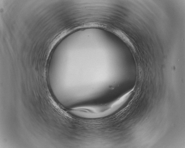 X0000071850805200607290131