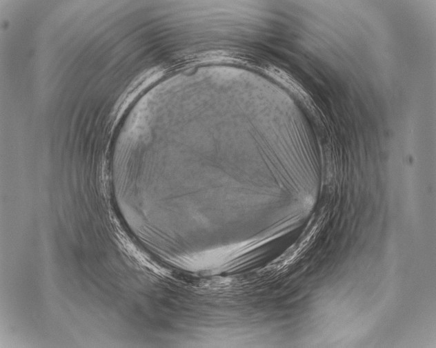 X0000071850806200607290131