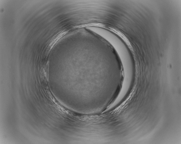 X0000071850809200607290131