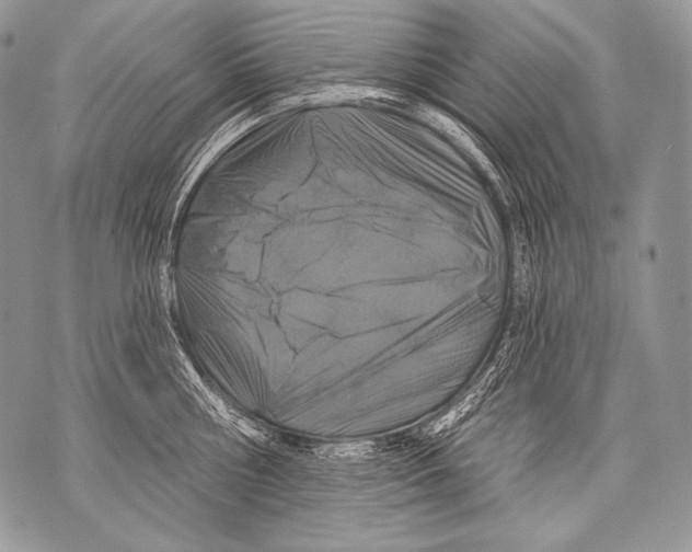 X0000071850810200607290131