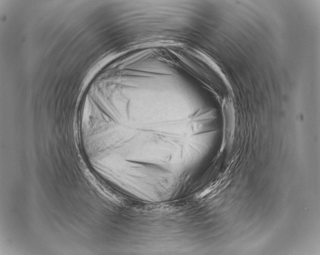 X0000071850811200607290131