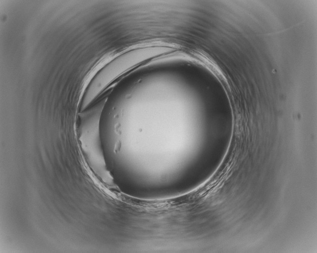 X0000071850813200607290131