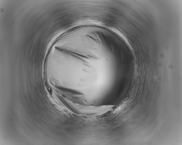 X0000071850815200607290131