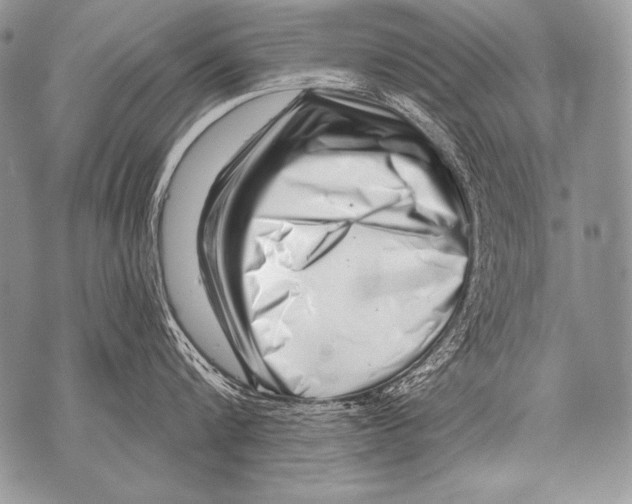 X0000071850816200607290131