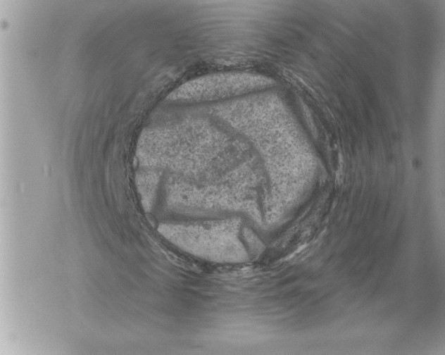 X0000071850817200607290130