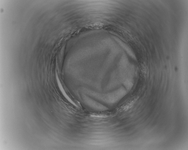 X0000071850818200607290130