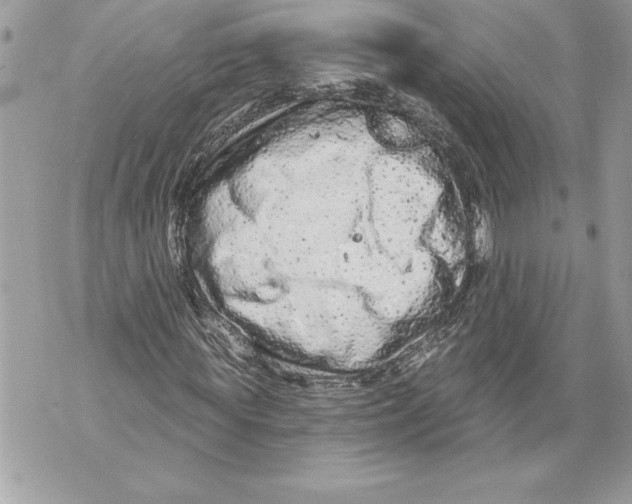 X0000071850819200607290130