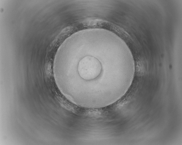 X0000071850820200607290130