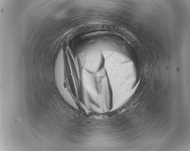 X0000071850821200607290130