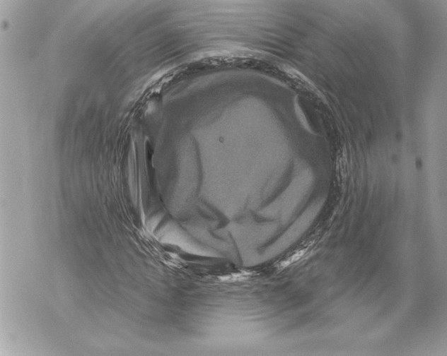 X0000071850822200607290130