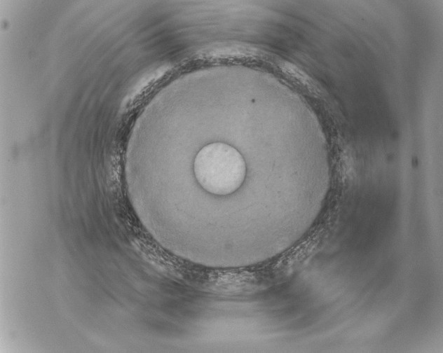 X0000071850824200607290130