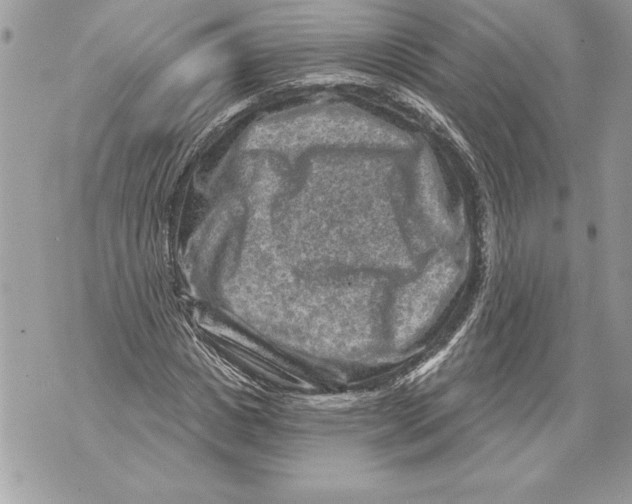 X0000071850825200607290130