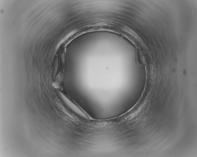 X0000071850826200607290130