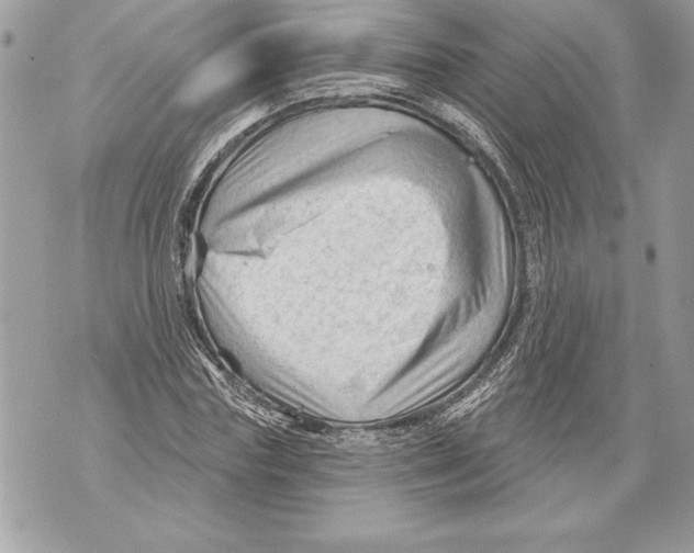 X0000071850827200607290130