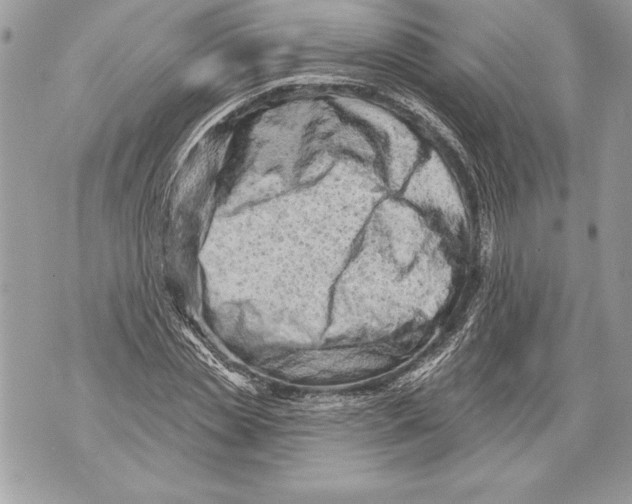 X0000071850829200607290130