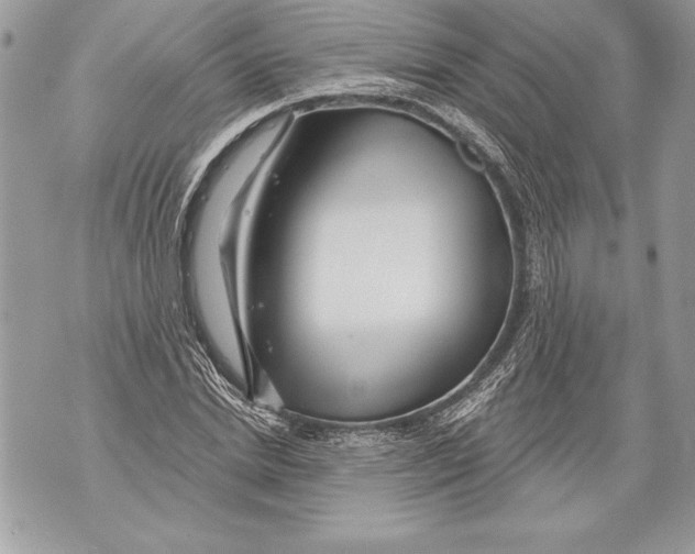 X0000071850830200607290130