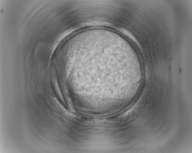 X0000071850831200607290130