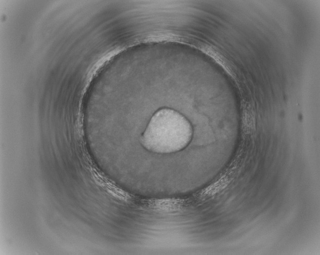 X0000071850832200607290130