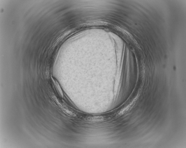 X0000071850833200607290130